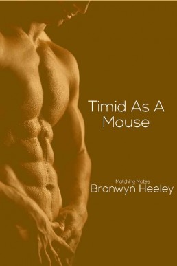 Timid as a Mouse (Matching Mates B (27908)