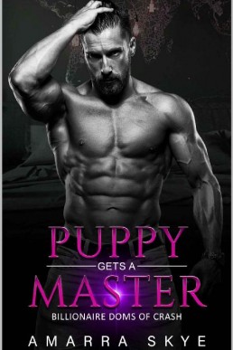 Puppy Gets a Master_ Book One_ A P (28078)