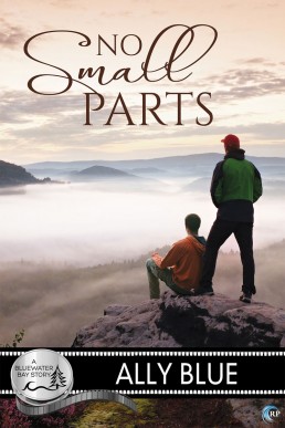 No Small Parts (28211)