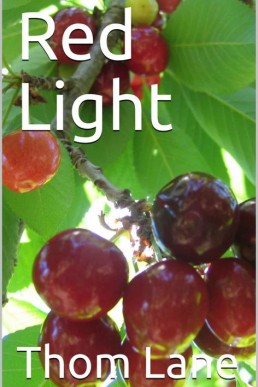 Red Light (French Wine Book 2) (28713)