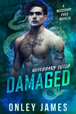 Damaged (Necessary Evils Book 3.5)