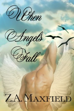 When Angels Fall (27985)
