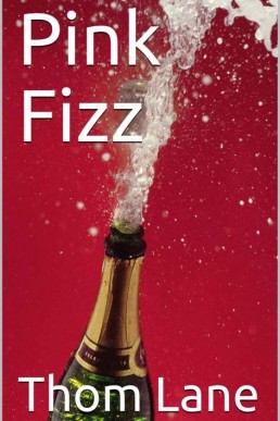 Pink Fizz (French Wine Book 3) (28711)