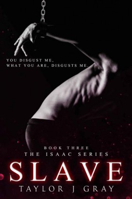 SLAVE (Isaac Series Book 3) (29010)