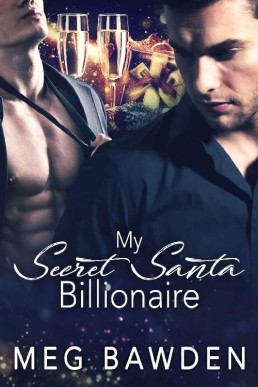 My Secret Santa Billionaire