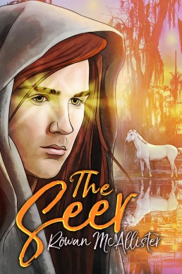 The Seer (Chronicles of the Riftlands 3)