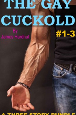 The Gay Cuckold_ Gay Cheating Husba (4612)