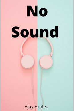 No Sound