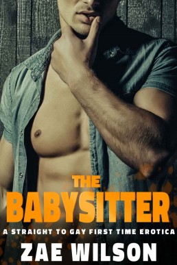 The Babysitter: A Straight to Gay First Time Erotica