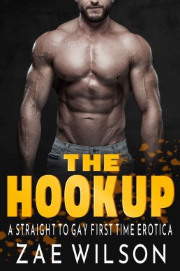The Hook Up: A Straight to Gay First Time Erotica