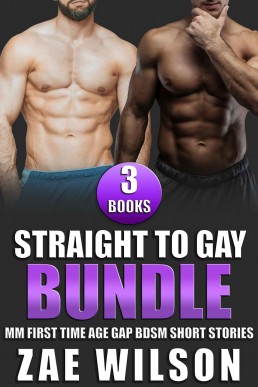 Straight to Gay 3 Book Bundle: MM First Time Age Gap BDSM Short Stories
