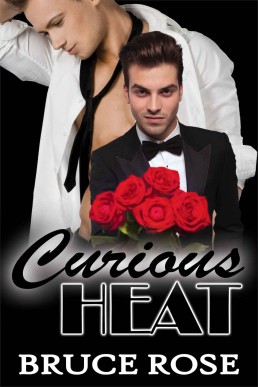 Curious Heat (A Fairview Story 1)