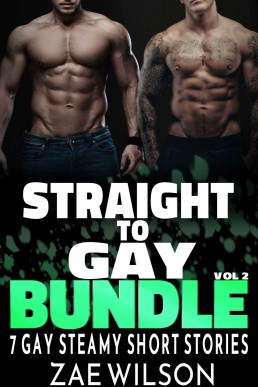 Straight to Gay Bundle Vol. 2: Another 7 Gay Steamy Short Stories
