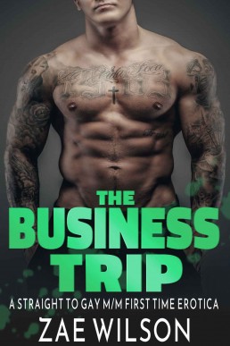 The Business Trip: A Straight to Gay M/M First Time Erotica