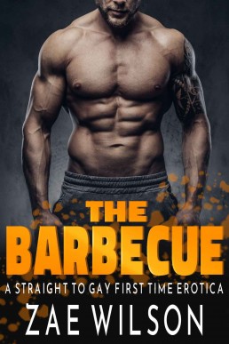 The Barbecue: A Straight to Gay First Time Erotica