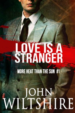 Love Is a Stranger (More Heat Than The Sun Book 1)