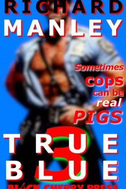True Blue: Cops On The Prowl 3 (True Blue:Cops On The Prowl)