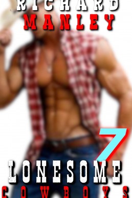 Lonesome Cowboys: Book 7: Outlaws Will Be Outlaws