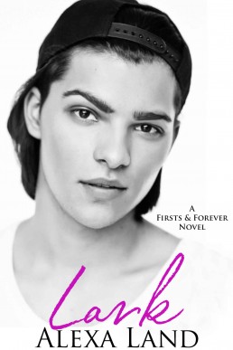 Lark (Firsts & Forever Stories 5)