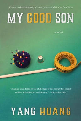 My Good Son: A Novel