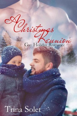 A Christmas Reunion (Gay Romance)