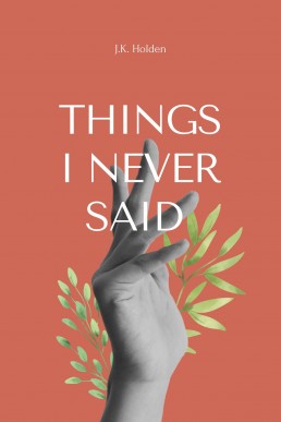 Things I Never Said (Holiday FF Romance Book 2)