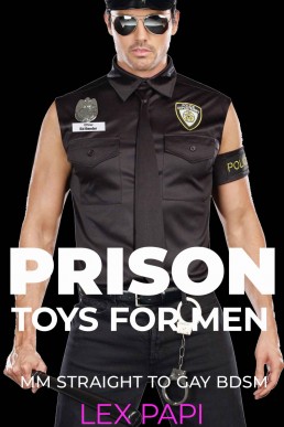 Prison Toys for Men: MM Straight to Gay BDSM