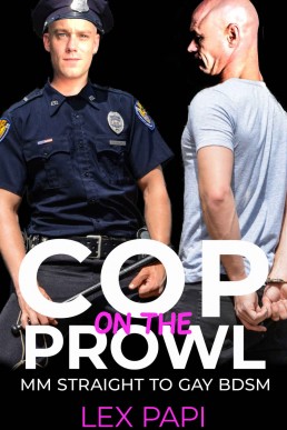 Cop on the prowl: MM Straight to gay BDSM