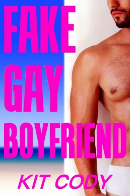 Fake Gay Boyfriend