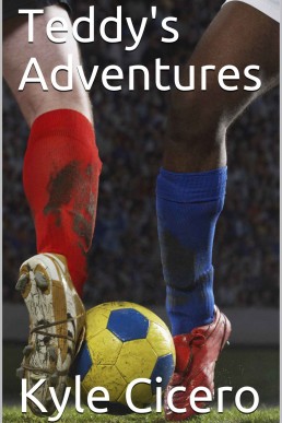 Teddy's Adventures
