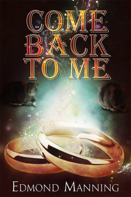 Come Back To Me (The Lost and Founds #5)