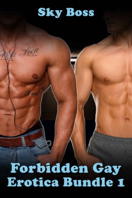 Forbidden Gay Erotica Bundle 1: 60+ Taboo MM Erotica Stories (Forbidden Gay Erotica Mega Bundle)
