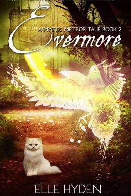 Evermore (A Mystic Meteor Tale Book 2)