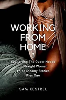 Working From Home 3