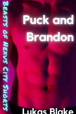 Puck and Brandon: A hot 'n' sweet M/M paranormal short