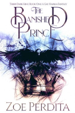 The Banished Prince (Their Dark King #1)