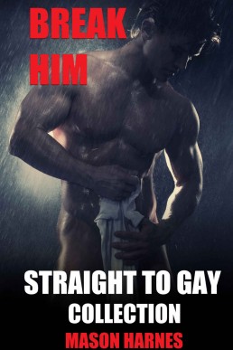 Break Him: Straight To Gay Collection