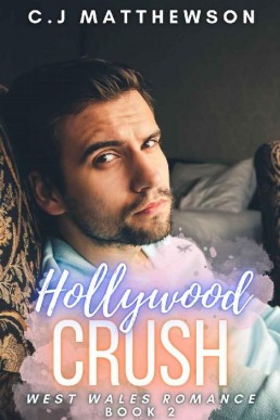 Hollywood Crush (West Wales Romance #2)