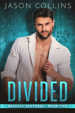 Divided (Bradley Brothers Book 2)