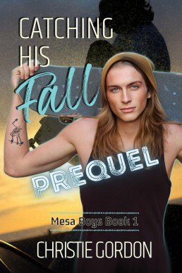 Catching His Fall (Mesa Boys Book 1)