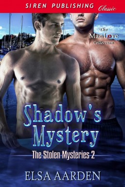 Shadow's Mystery (The Stolen Mysteries, #2)