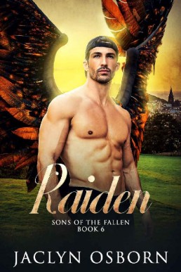 Raiden (Sons of the Fallen #6)