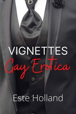 Vignettes: Gay Erotica