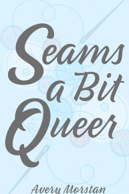 Seams a Bit Queer (Quaint City Romance #1)