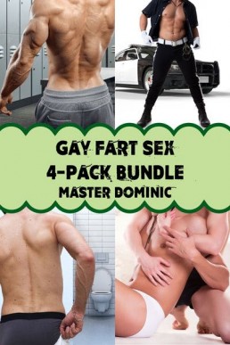 Gay Fart Sex 4-Pack