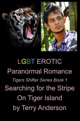 Stripe on Tiger Island (Tiger Shifter Series Book 1)