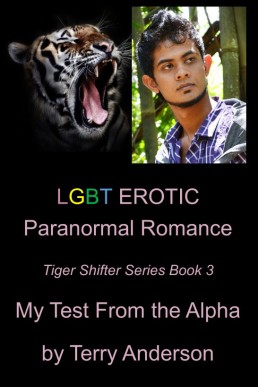 My Test From The Alpha (Tiger Shifter Series Book 3)