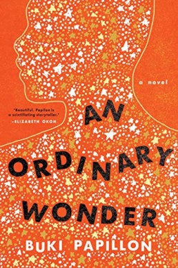 An Ordinary Wonder