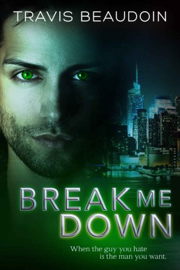 Break Me Down: A Gay Erotic Novella
