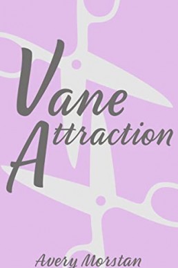Vane Attraction (Quaint City Romance #3)
